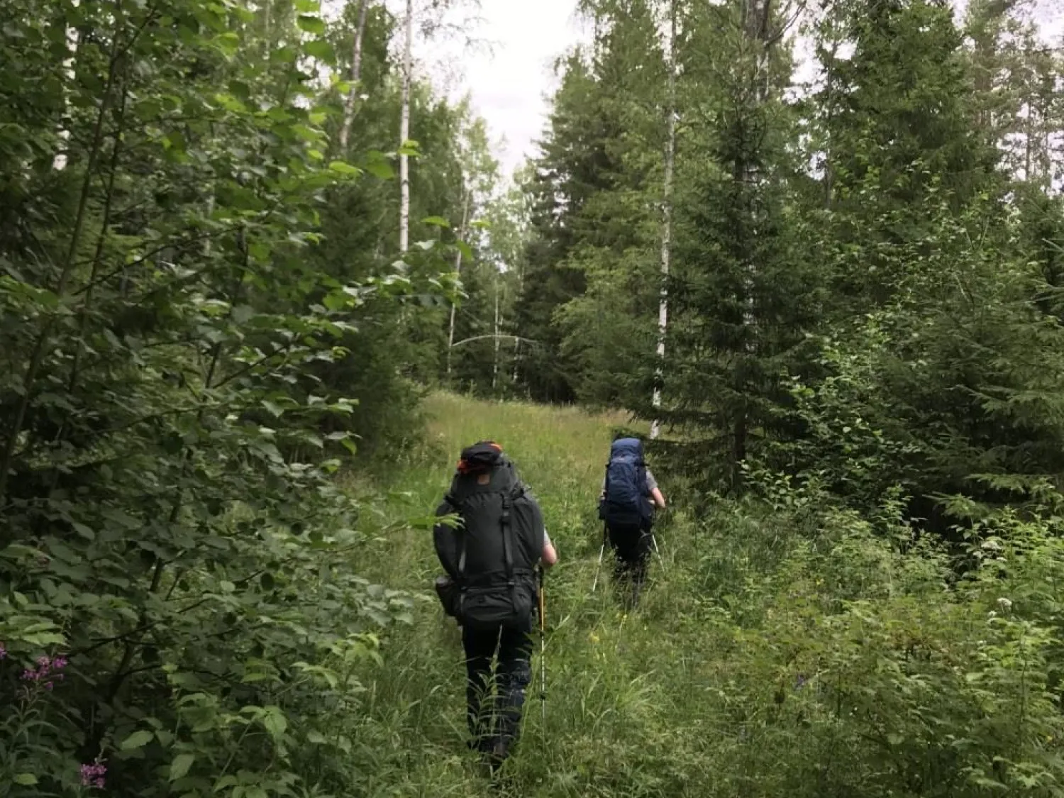 Vallstigen- hiking trail