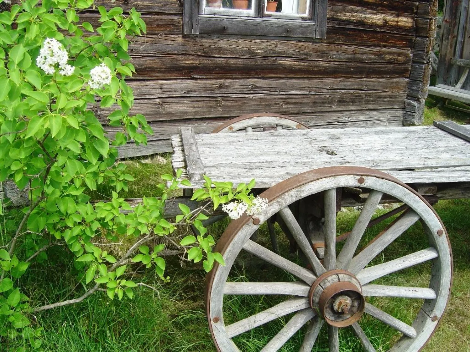 C.E.U. The Hälsingland Farm Ersk-Mats