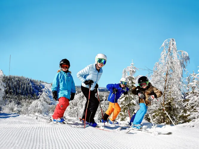 Färgbild - en grupp skidåkare i skidbacke utomhus.utomhus 