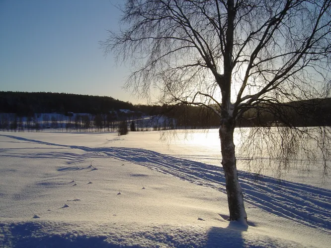 Colour picture of a winter landscape with the sun shining