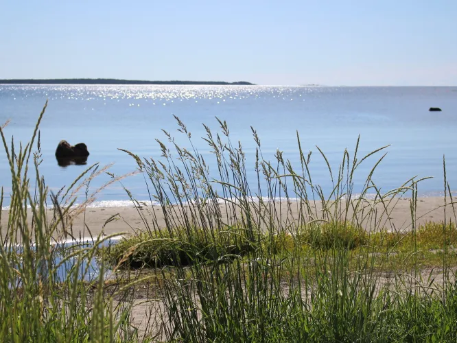 Utsikt från strand över havet med strandgräs i förgrunden.