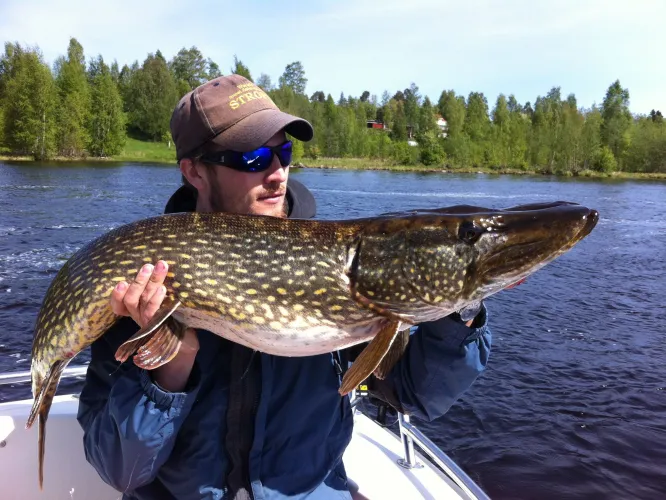 Färgbild - man i närbild som håller en stor gädda - ute på fisketur i båt.