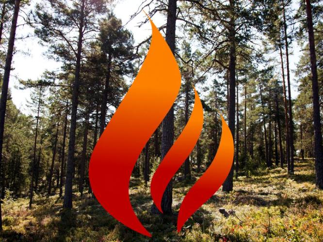 Färgbild - natur och skog med illustrerad brandlåga ovanpå bild