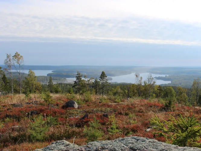 The view from the mountain top with forests and lake in the horizon.