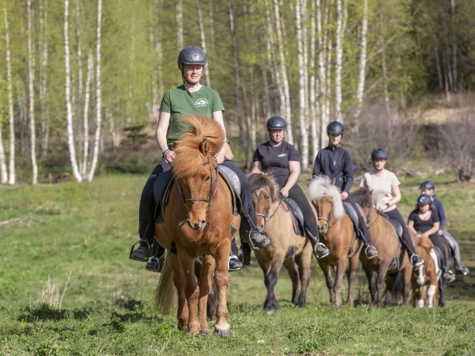 Colour picture with a line of horseback riders out in nature.