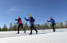 Längdskidåkning - Hassela Ski Resort Längdskidåkare ute i spåret. Vinter och snö.