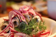 Mat - rullströmming Rullströmming med röd lök på tallrik