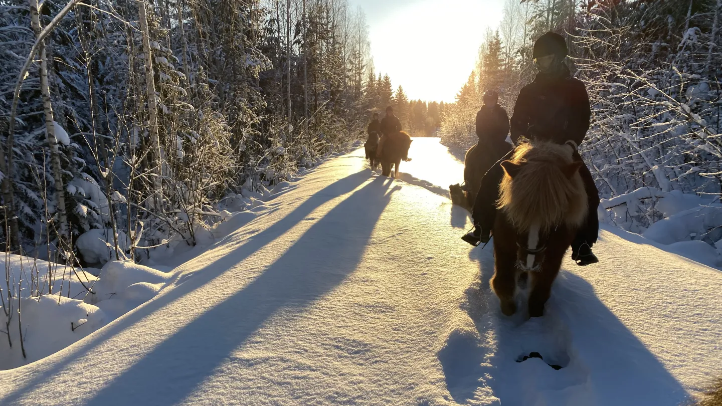 Färgbild - grupp ryttare i snölandskap med solen i ryggen