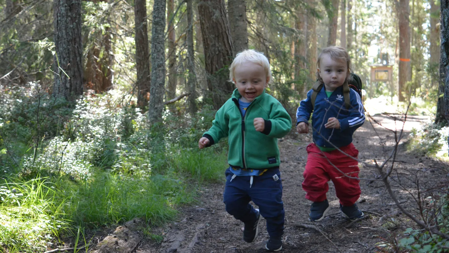 Barn springer i skogen