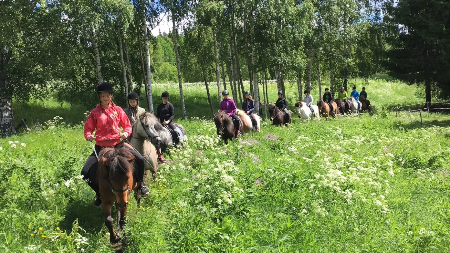 Hästar och ryttare på rad i grönskande naturomgivning.