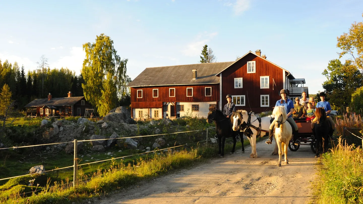 Samling hästar och männiksor framför lantgård.